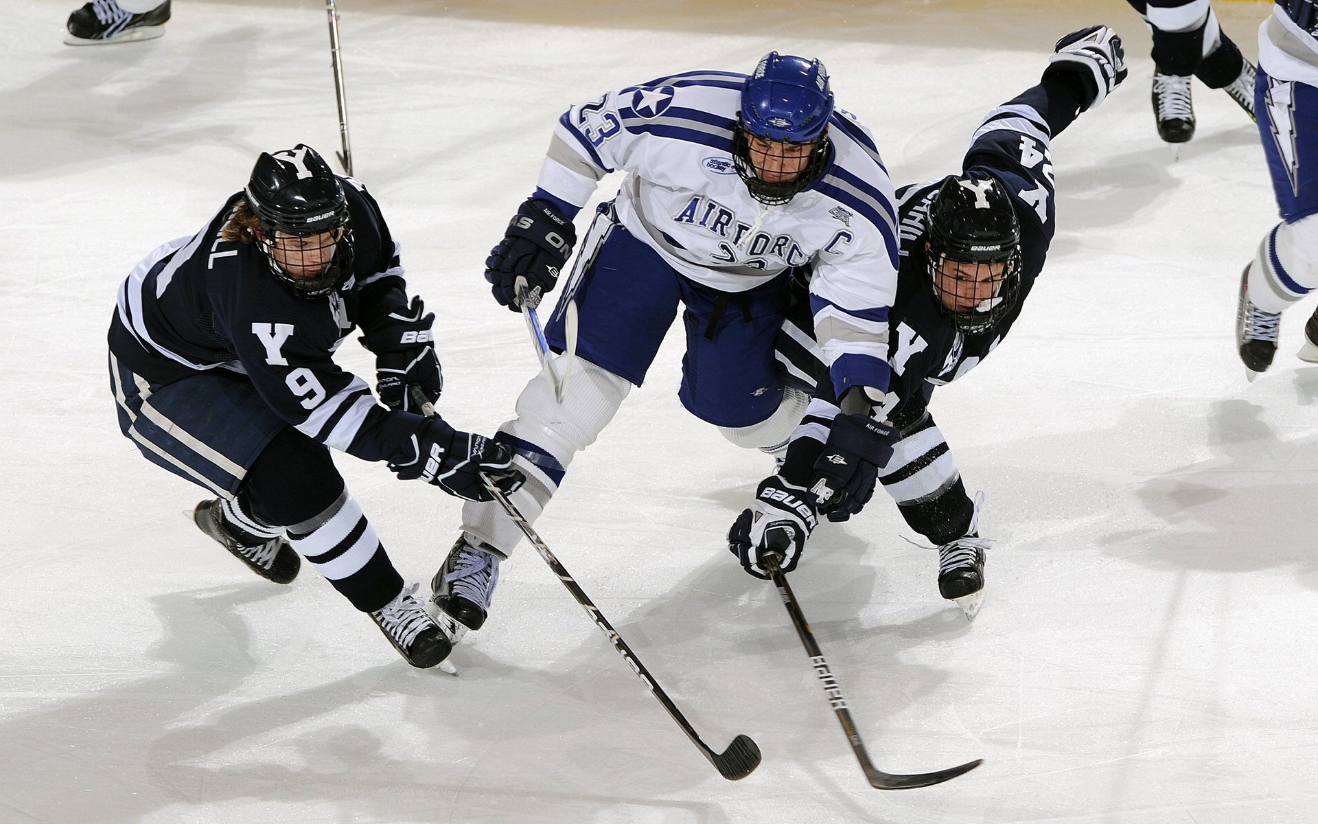 公牛收割尼克斯，锡安·威廉姆森如何用完美发挥定义新时代